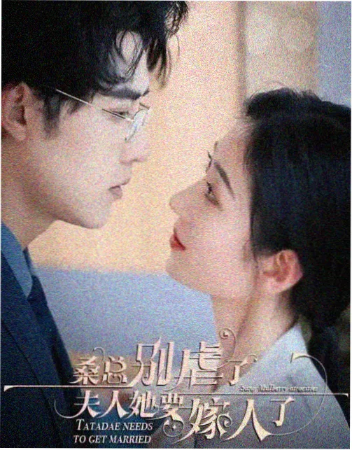 菲菲影院热播剧集长夜列车海报